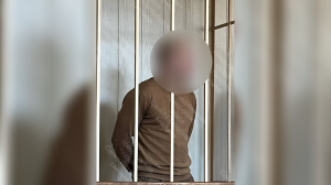 Суд в Петербурге наказал колонией и компенсацией сбившего полицейского водителя KIA RIO