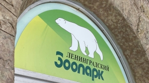 Вход в Ленинградский зоопарк теперь бесплатный для всех детей: какие еще сюрпризы ждут юных петербуржцев 1 июня?